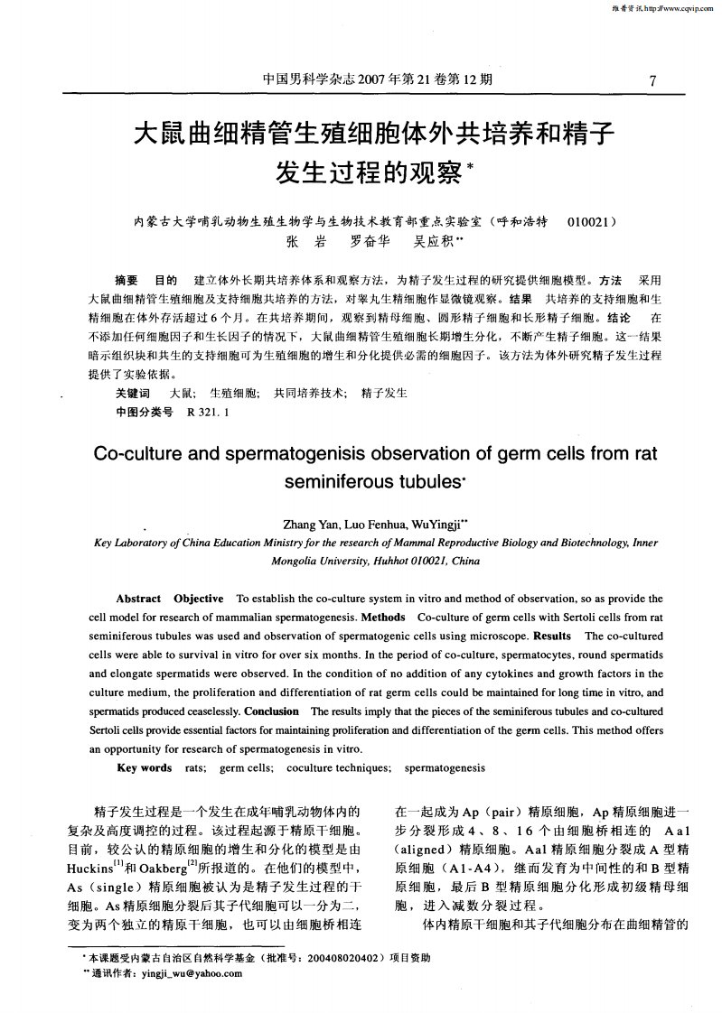 大鼠曲细精管生殖细胞体外共培养和精子发生过程的观察.pdf