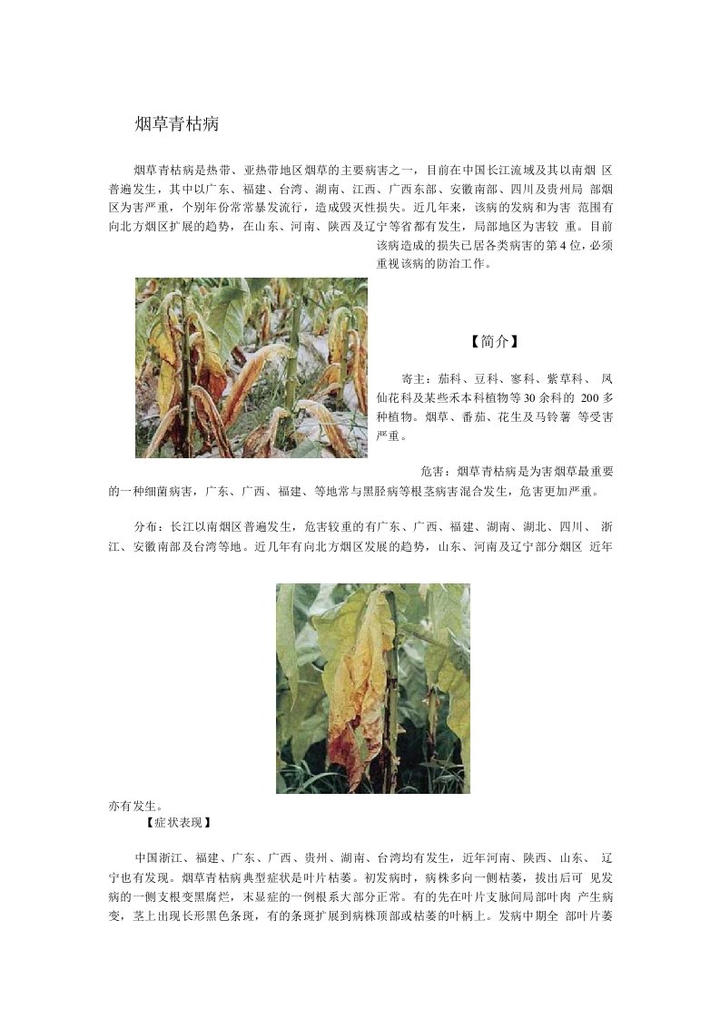 烟草青枯病病虫害极其防治技术