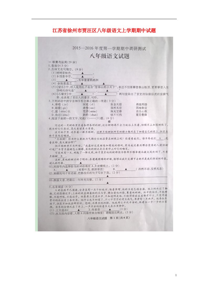 江苏省徐州市贾汪区八级语文上学期期中试题（扫描版）