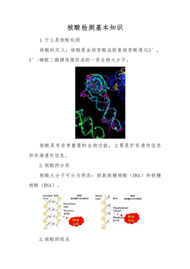 核酸检测基本知识