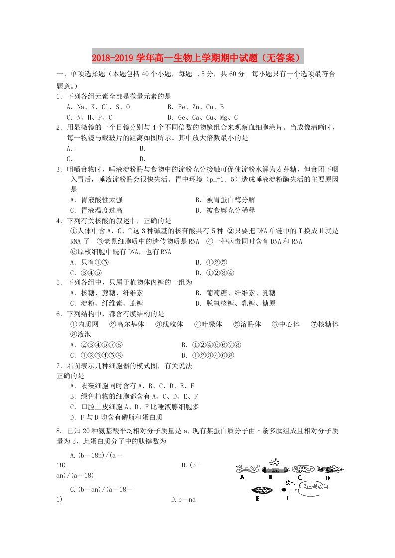 2018-2019学年高一生物上学期期中试题（无答案）