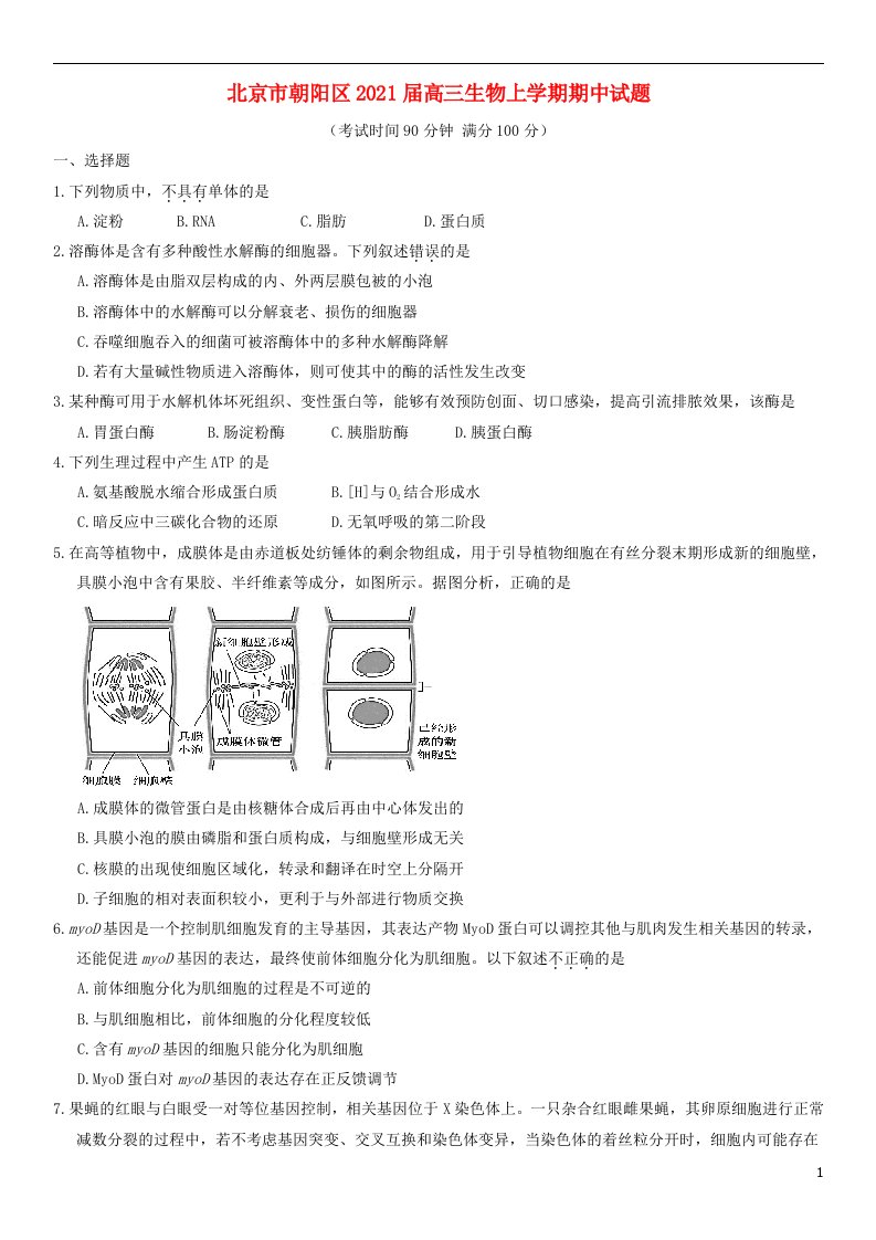 北京市朝阳区2021届高三生物上学期期中试题