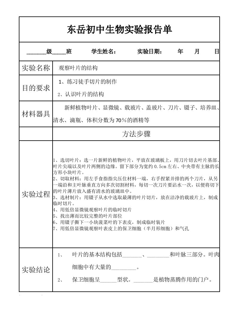 观察叶片的结构实验报告