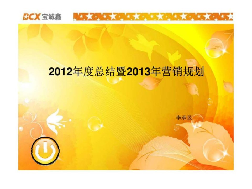 2012年度总结暨2013年营销规划