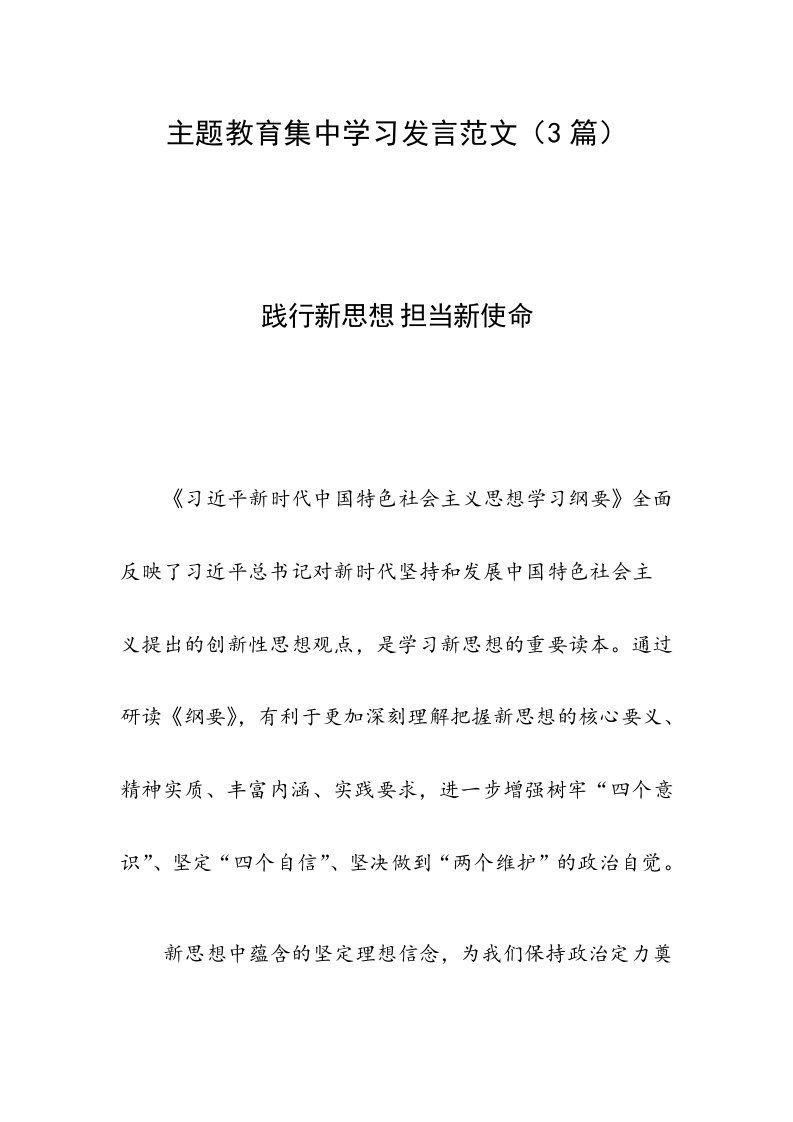 主题教育集中学习发言范文（3篇）