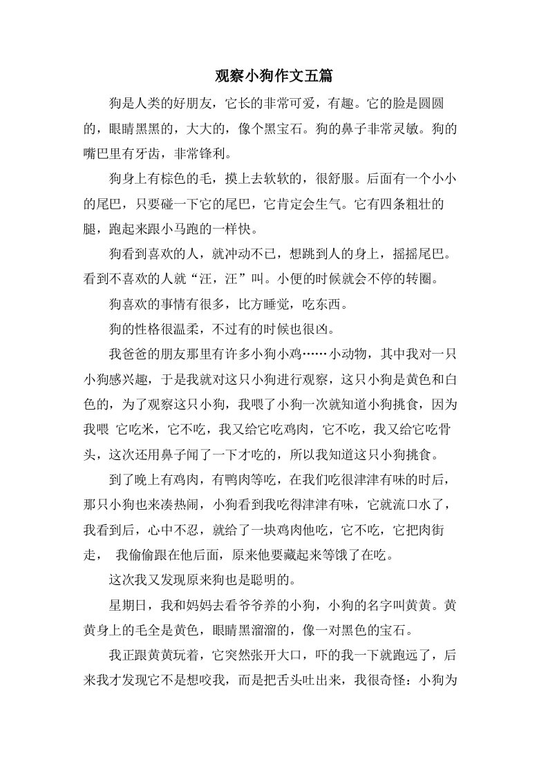 观察小狗作文五篇