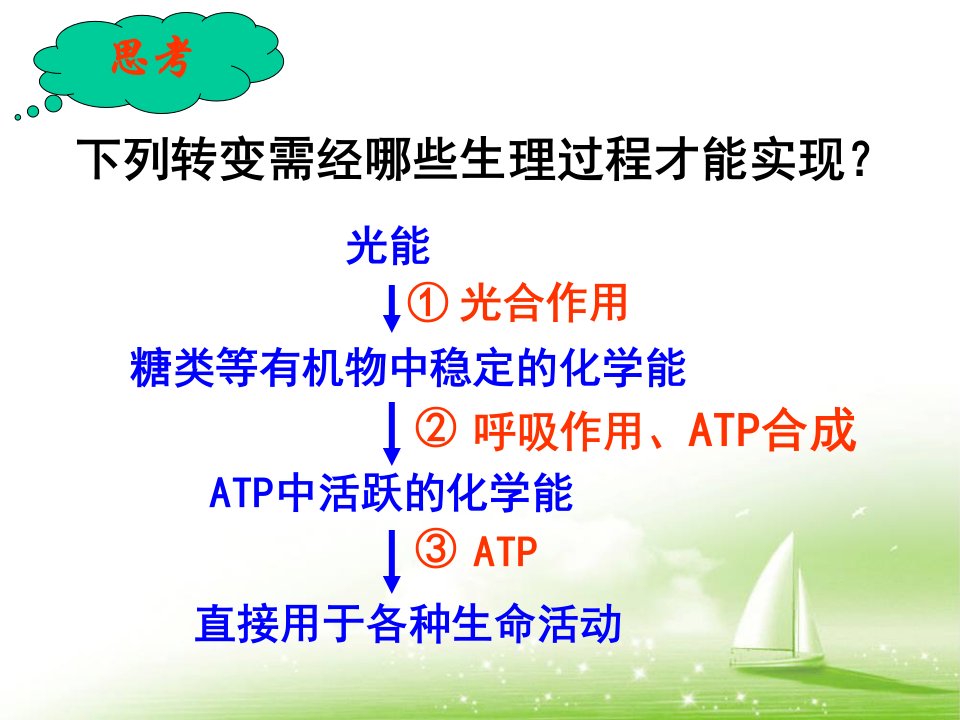 人教版生物第一课时捕获光能的色素和结构课件