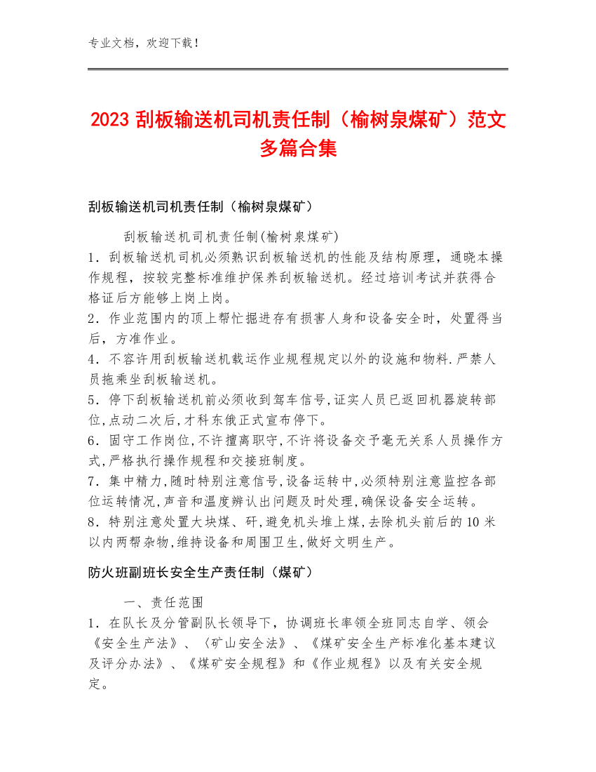 2023刮板输送机司机责任制（榆树泉煤矿）范文多篇合集