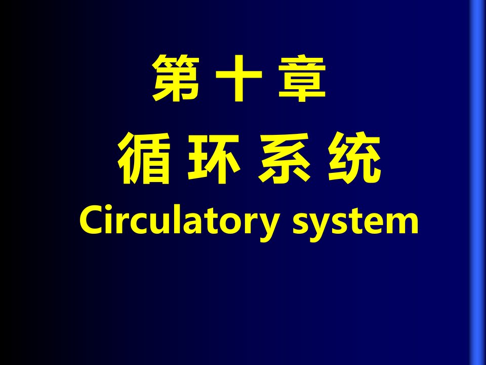 组织学与胚胎学课件-循环系统