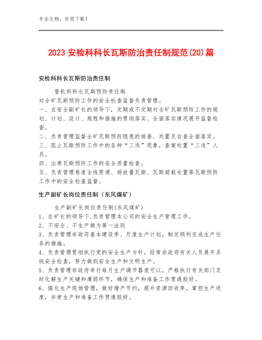 2023安检科科长瓦斯防治责任制规范(20)篇