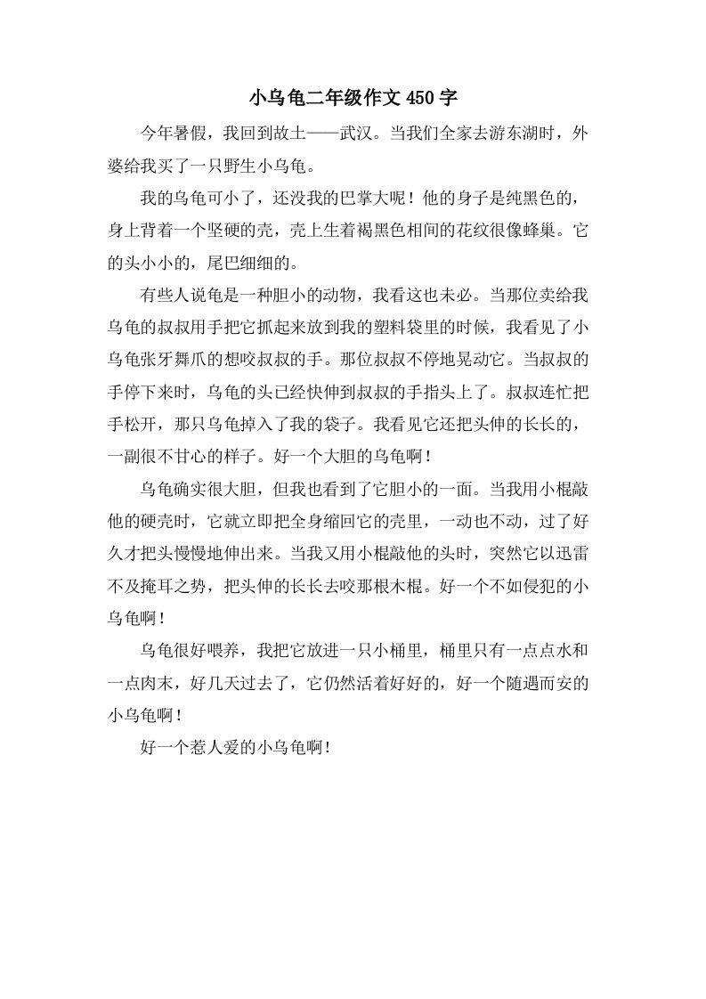 小乌龟二年级作文450字