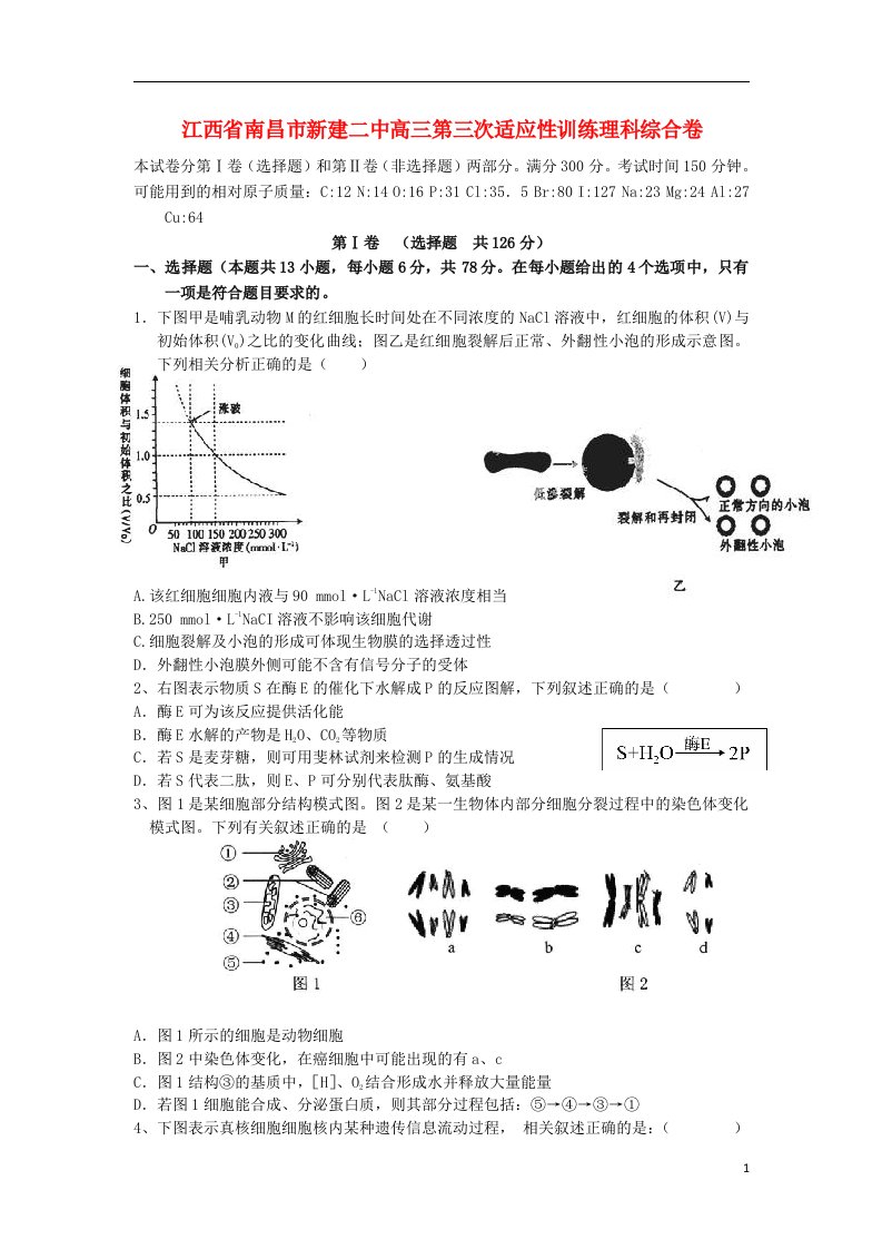 江西省南昌市新建二中高三理综（生物部分）第三次适应性训练试题新人教版