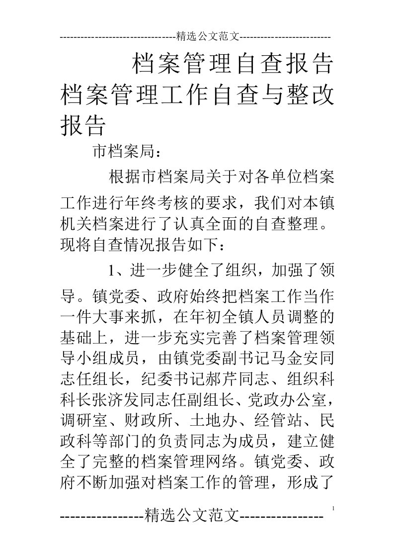 档案管理自查报告