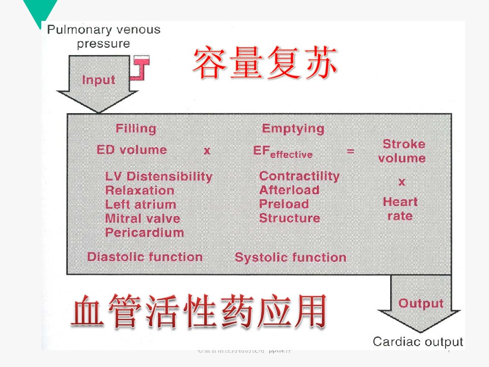 心血管活性药物的使用ppt课件