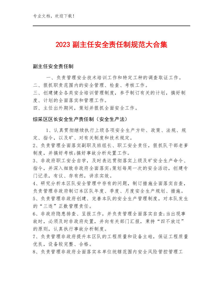 2023副主任安全责任制规范大合集