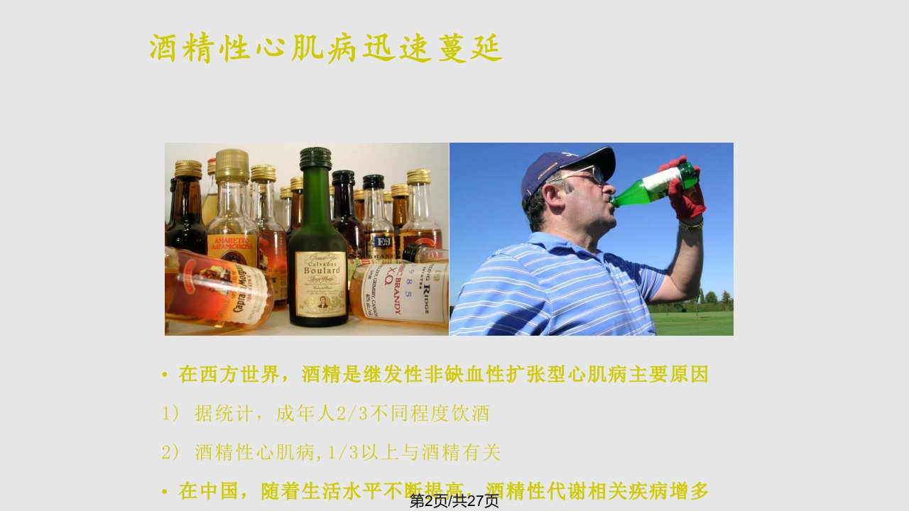 活性氧ROS介导的乙醛氧化损伤心肌致细胞凋亡的初步研究