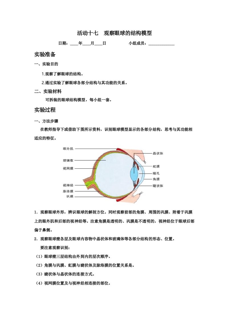 《实验报告》北师大版七年级生物活动十七观察眼球的结构模型