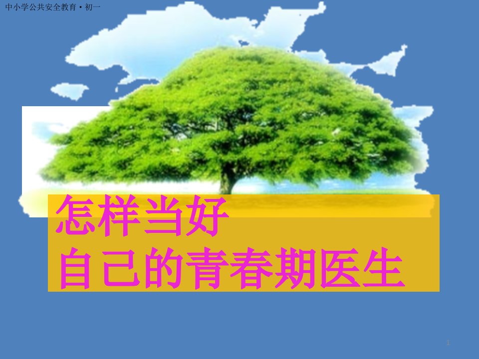 怎样当好自己的青春期医生—中学主题班会活动教学课件