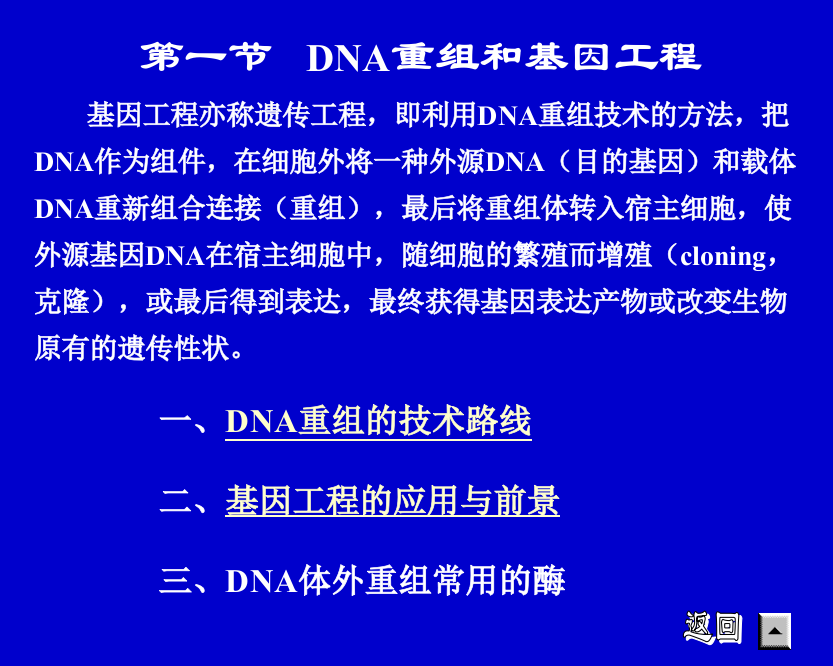 基因工程和蛋白质工程简介PPT课件