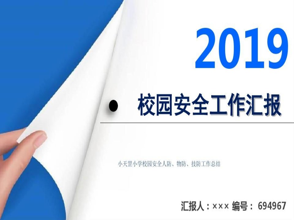 小天罡小学校园安全人防、物防、技防工作总结