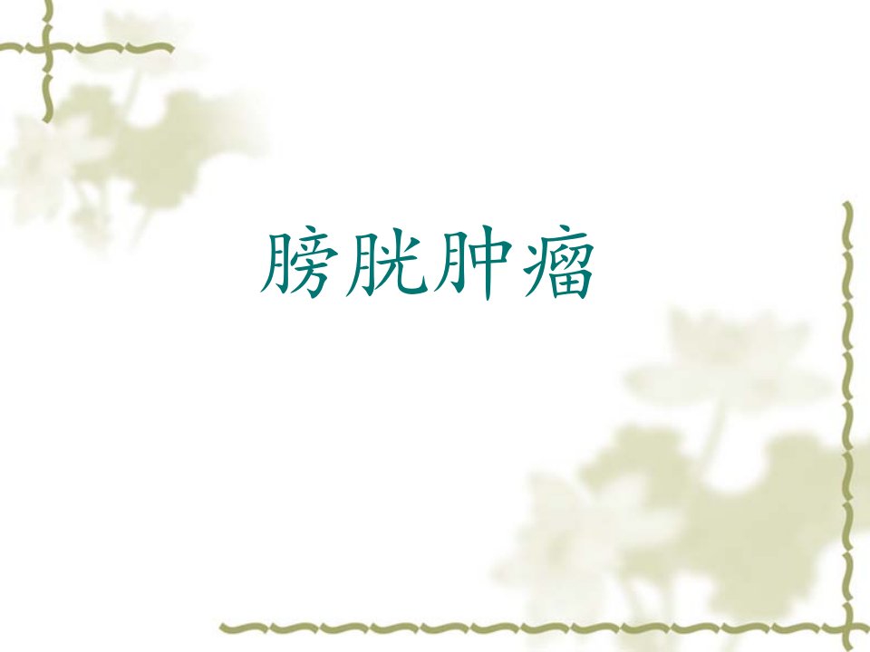 膀胱肿瘤.ppt