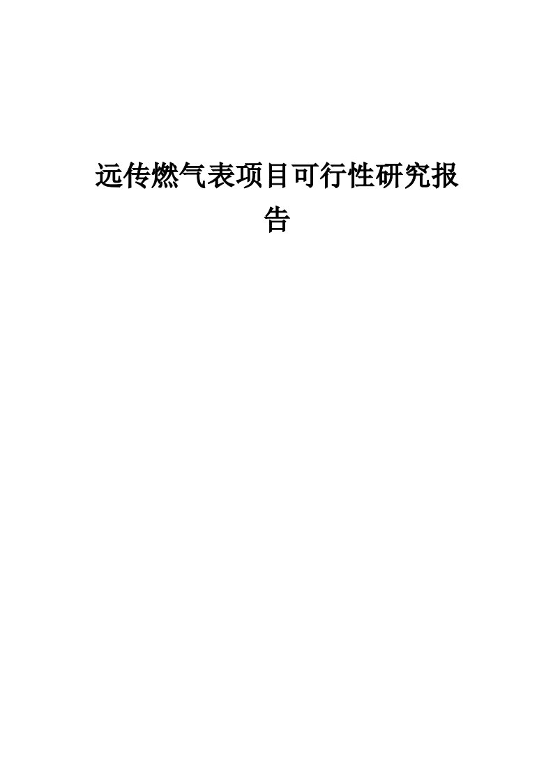 2024年远传燃气表项目可行性研究报告