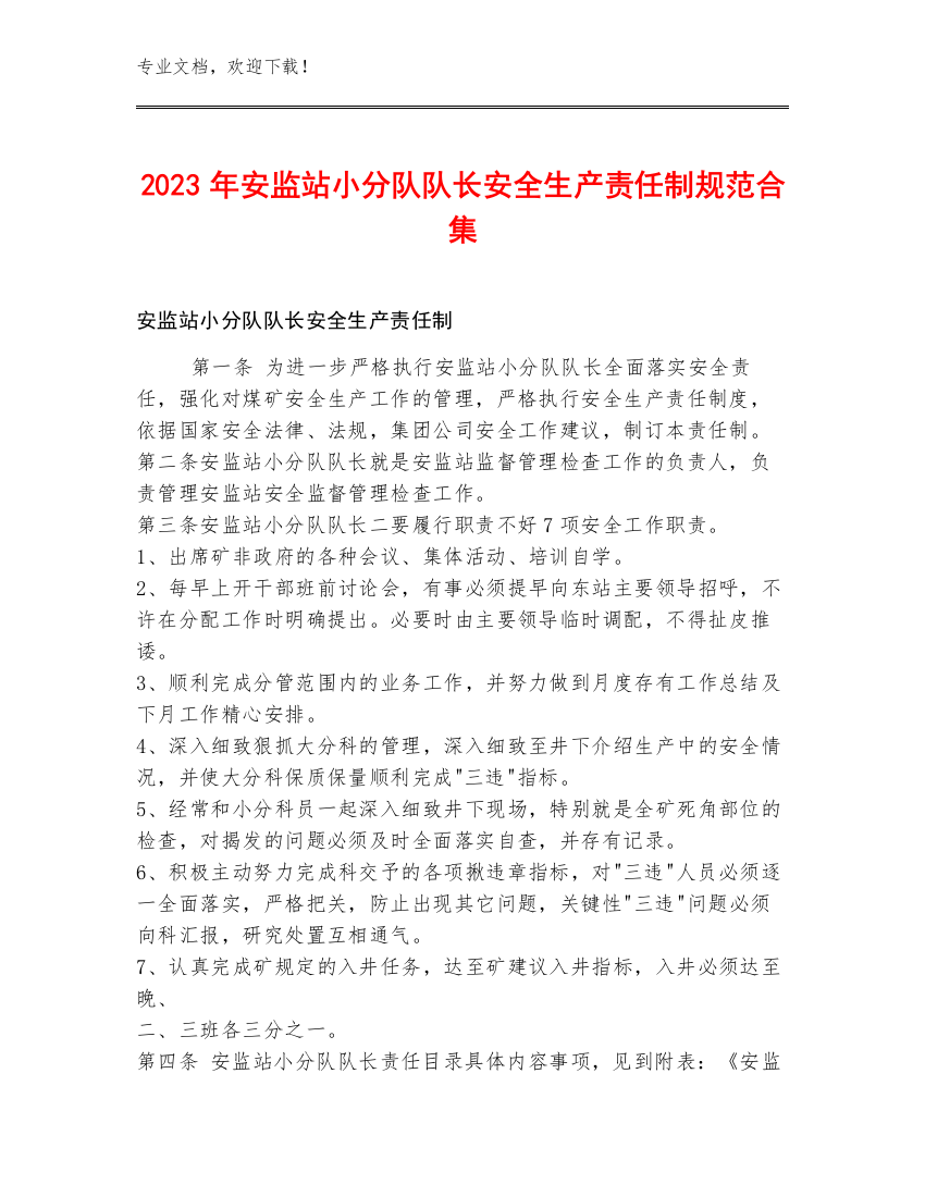 2023年安监站小分队队长安全生产责任制规范合集