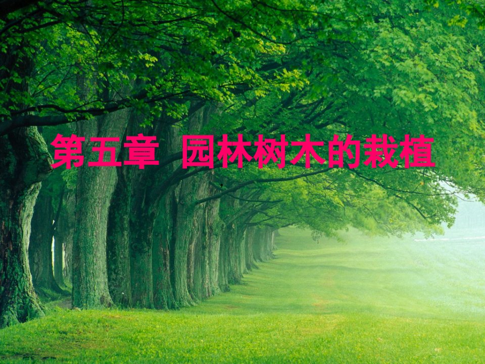 园林树木栽植技术,(PPT77页)