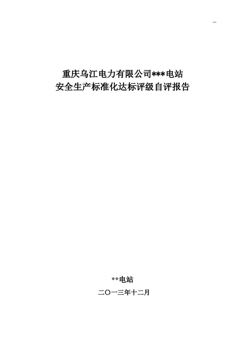 发电厂安全生产标准化达标评级自评报告样式