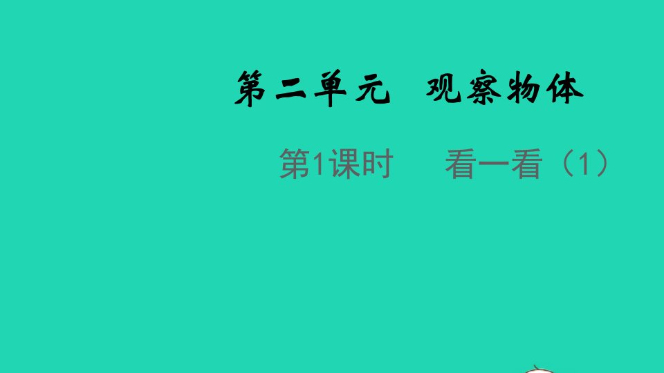 2021秋三年级数学上册第二单元观察物体第1课时看一看一课件北师大版