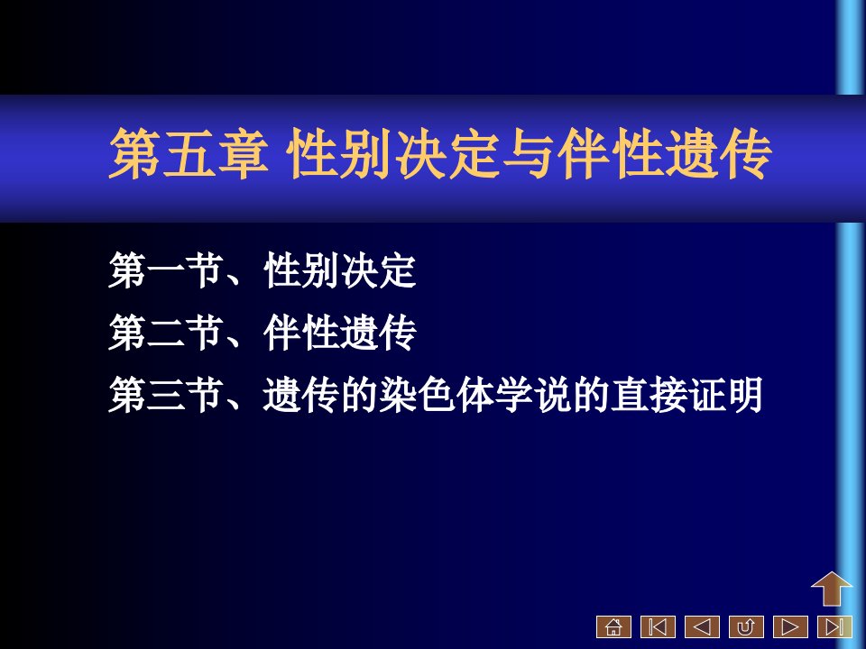 教学课件：第五章性别决定和伴性遗传BU