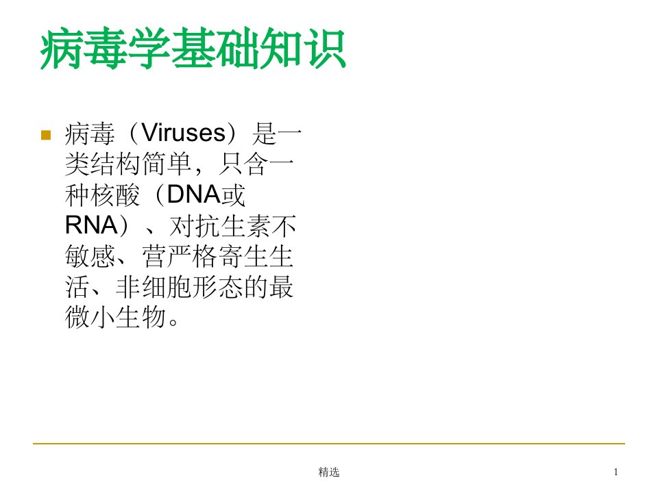 病毒学基础知识ppt课件