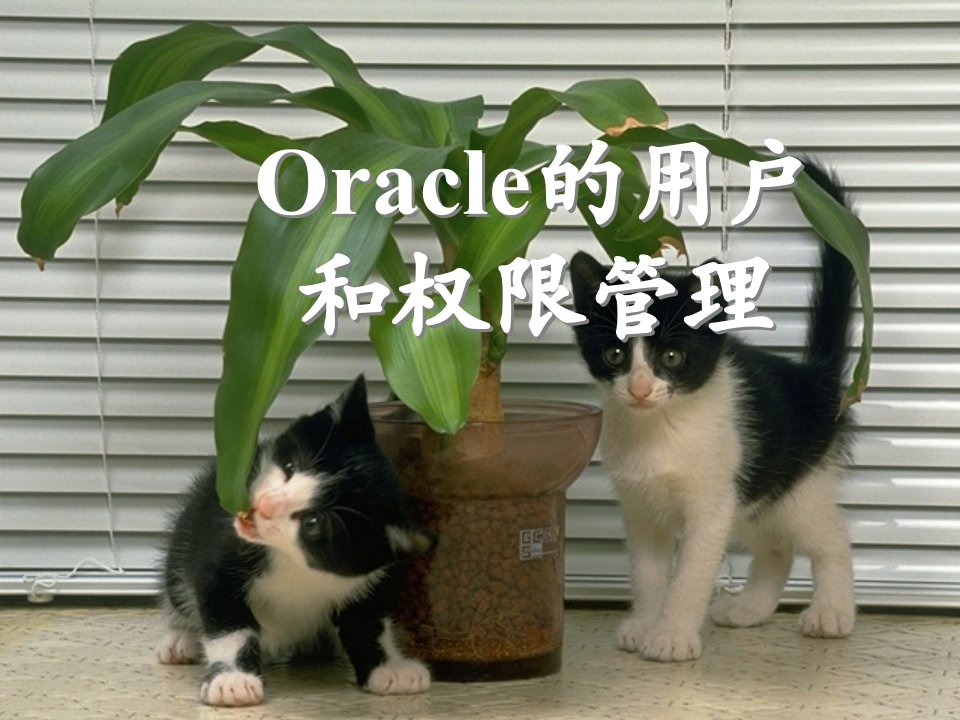 Oracle数据库的用户和权限管理