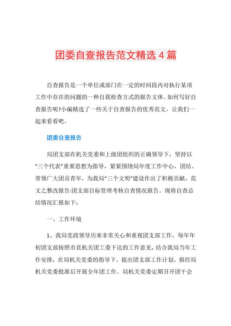 团委自查报告范文精选4篇