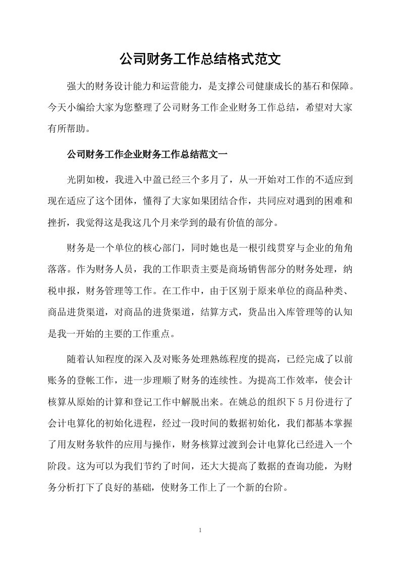 公司财务工作总结格式范文