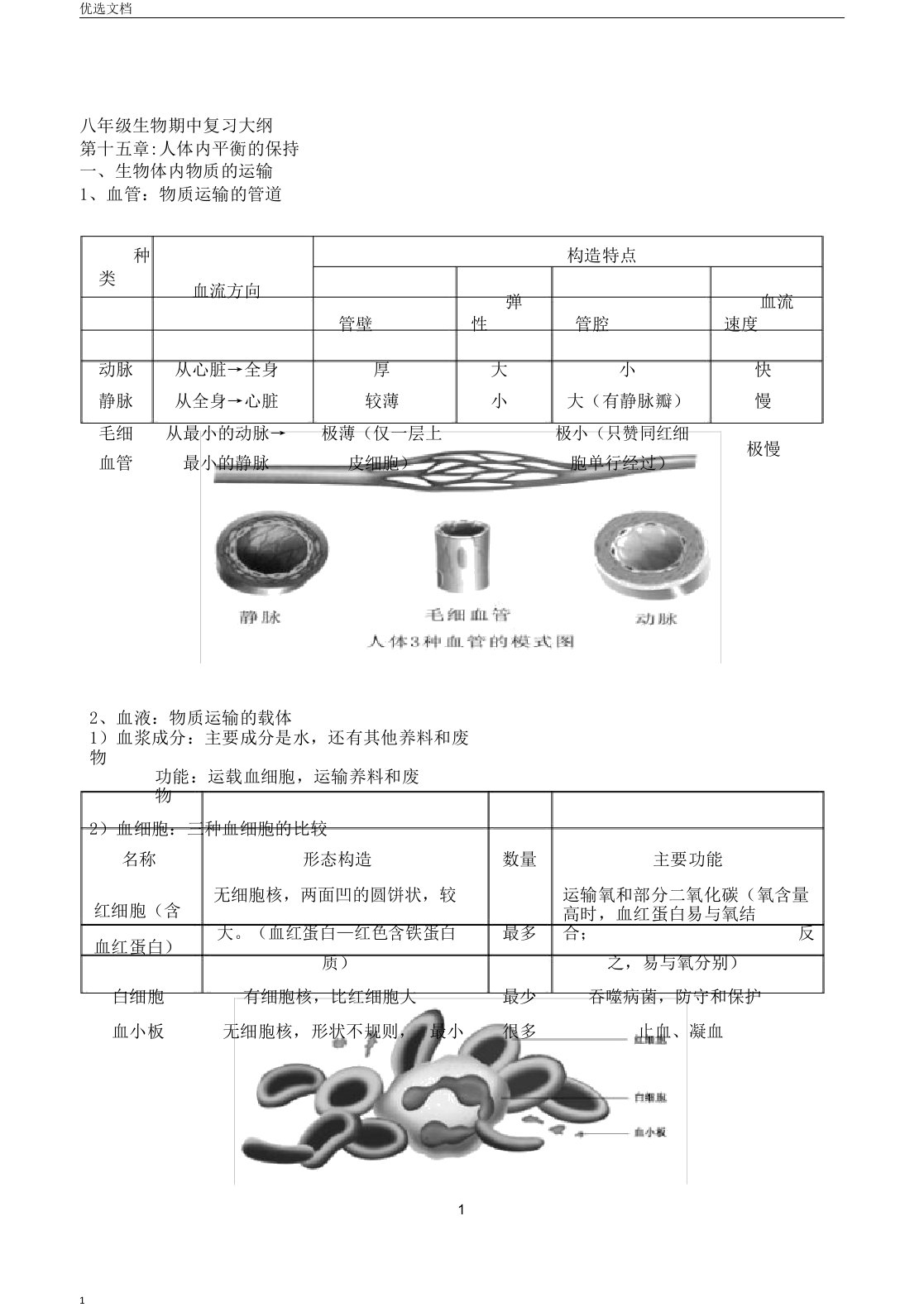 苏科版生物八年级上册期末复习提纲教案