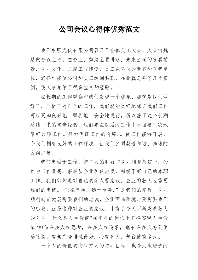 公司会议心得体优秀范文_1