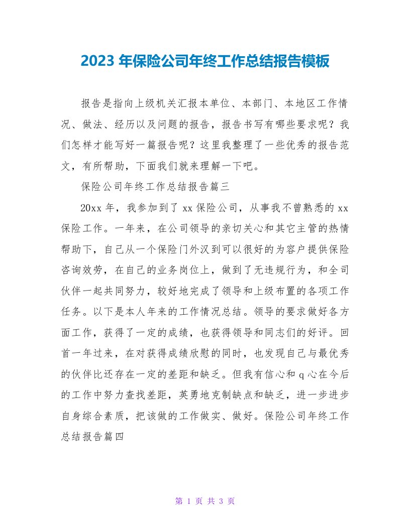 2023年保险公司年终工作总结报告模板