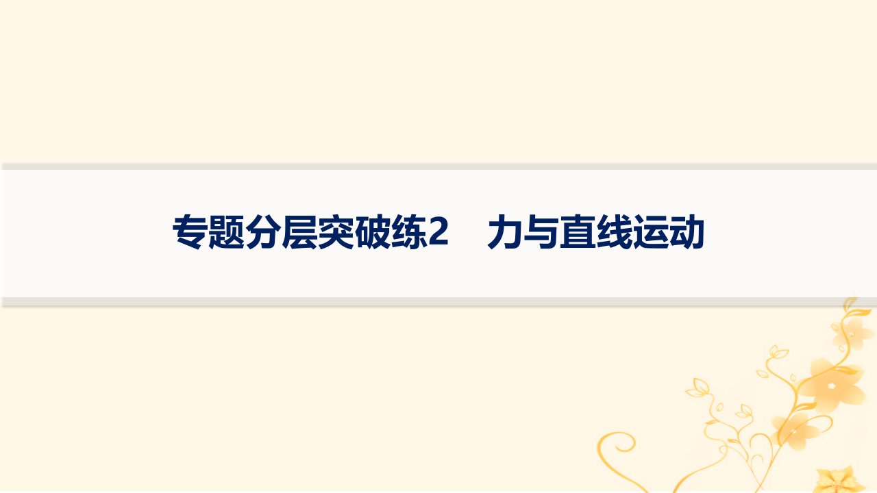 适用于新高考新教材2024版高考物理二轮复习专题分层突破练2力与直线运动课件