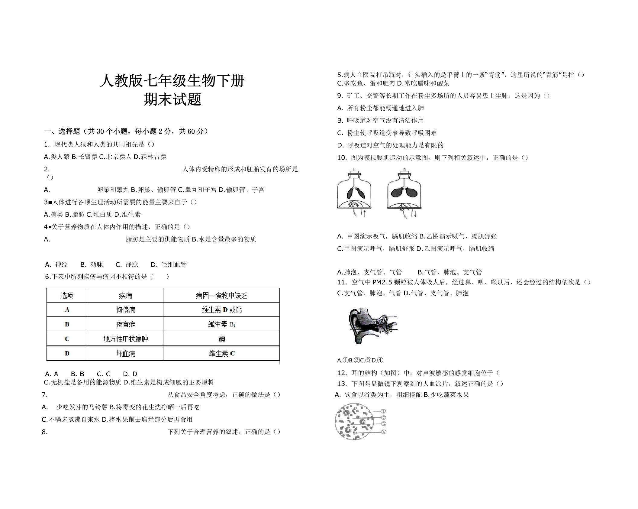 最新人教版七年级生物下册期末试题及答案