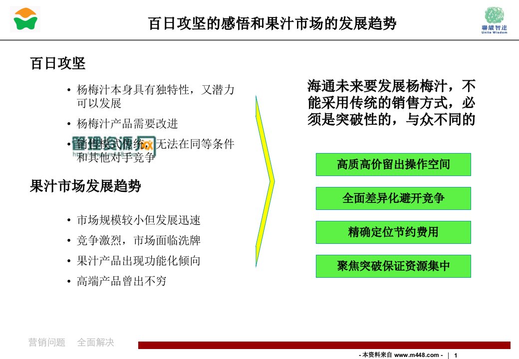 某食品集团杨梅汁产品市场营销管理