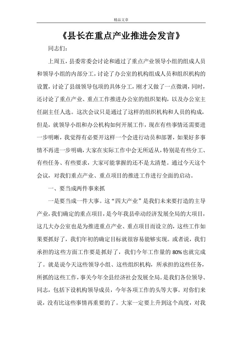 《县长在重点产业推进会发言》