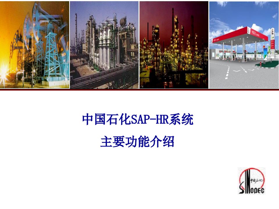 中国石化SAP-HR系统功能介绍