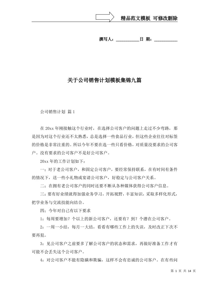 关于公司销售计划模板集锦九篇