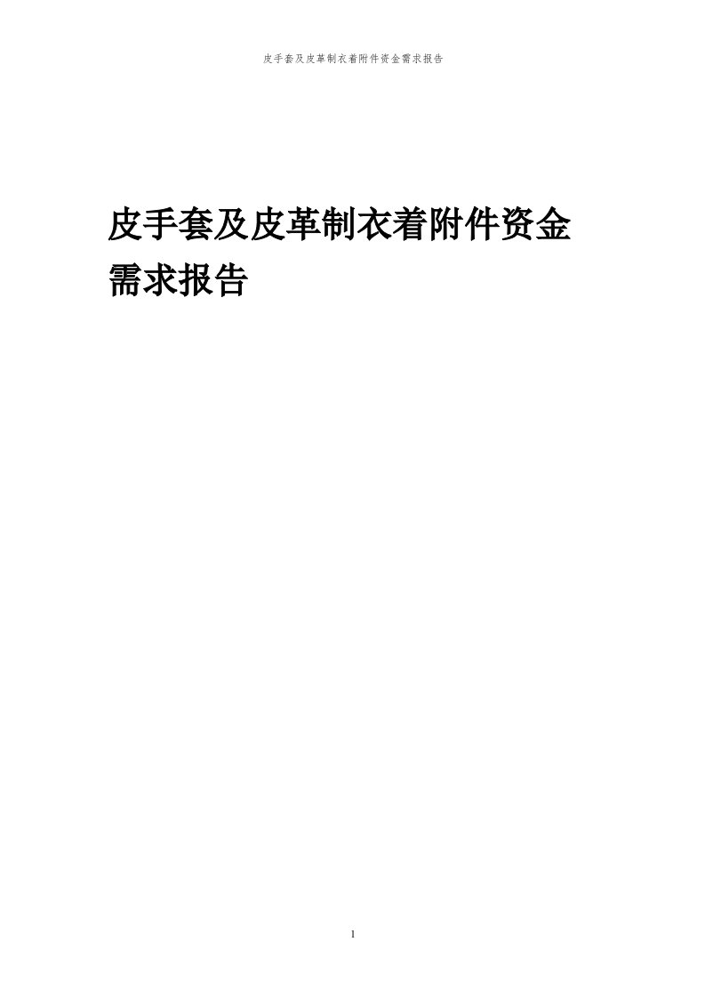 2024年皮手套及皮革制衣着附件项目资金需求报告代可行性研究报告