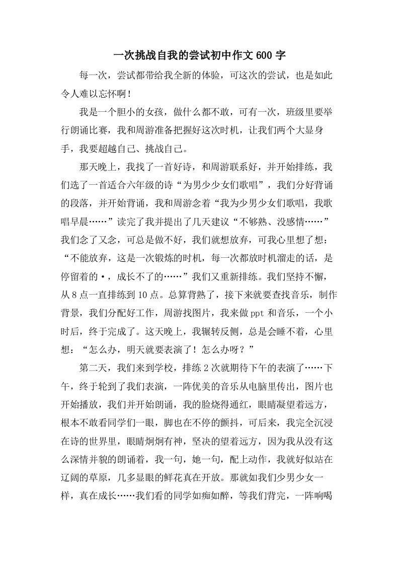 一次挑战自我的尝试初中作文600字