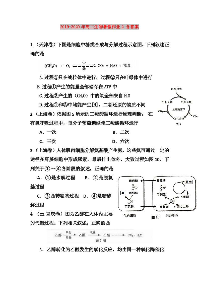 2019-2020年高二生物暑假作业2