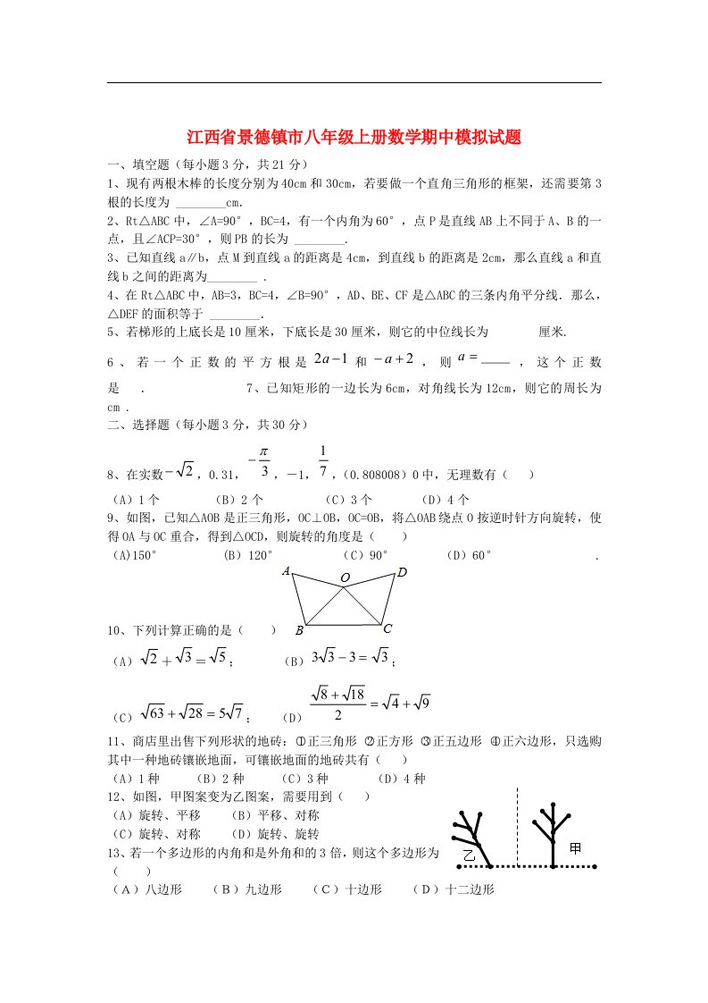 江西省景德镇市八级数学上学期期中模拟试题