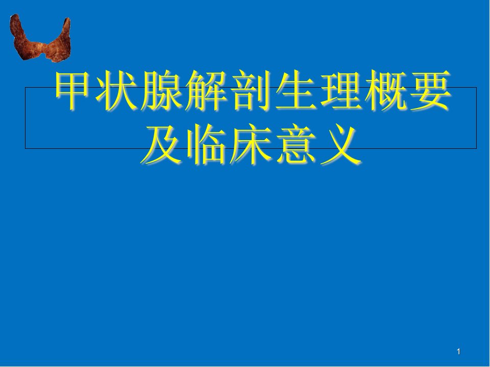 甲状腺基本解剖医学课件