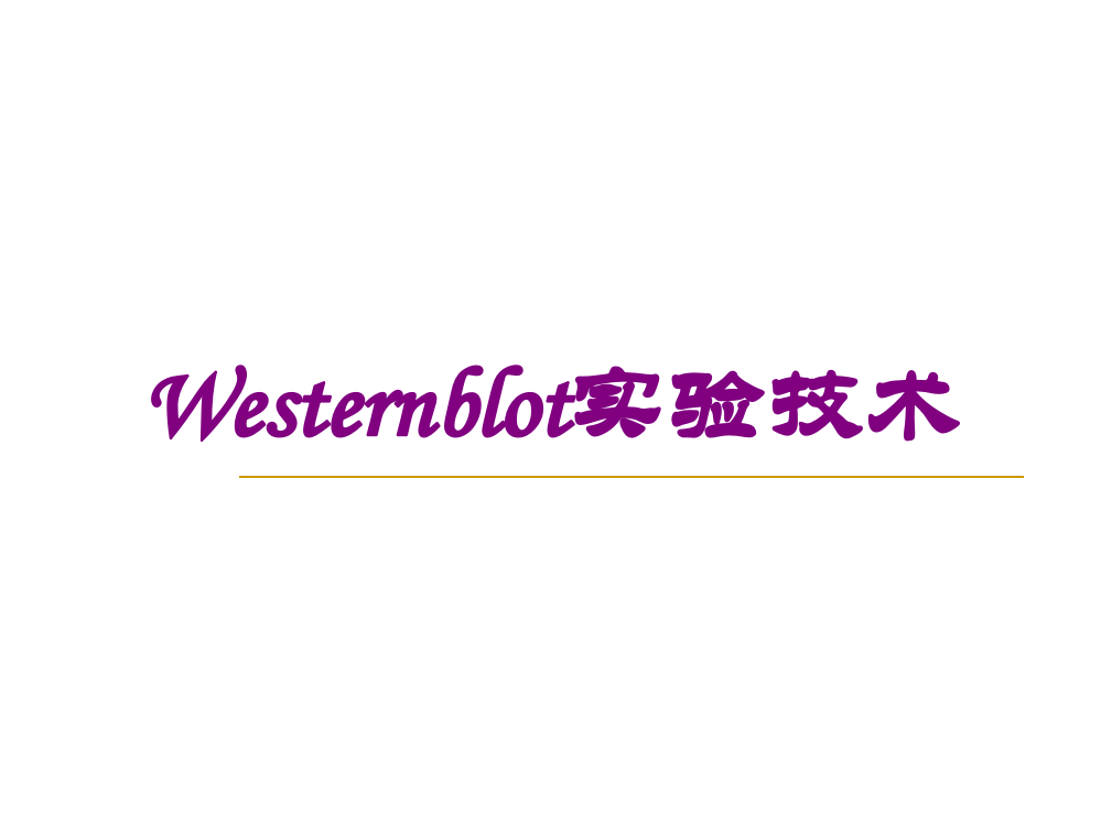 Westernblot实验技术培训课件